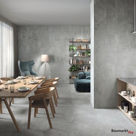 Industrial Fusion 60X120 grau